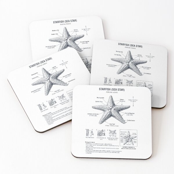 Item preview, Starfish Scientific Anatomy Biology Animal Lover designed and sold by dian-rody-crest.