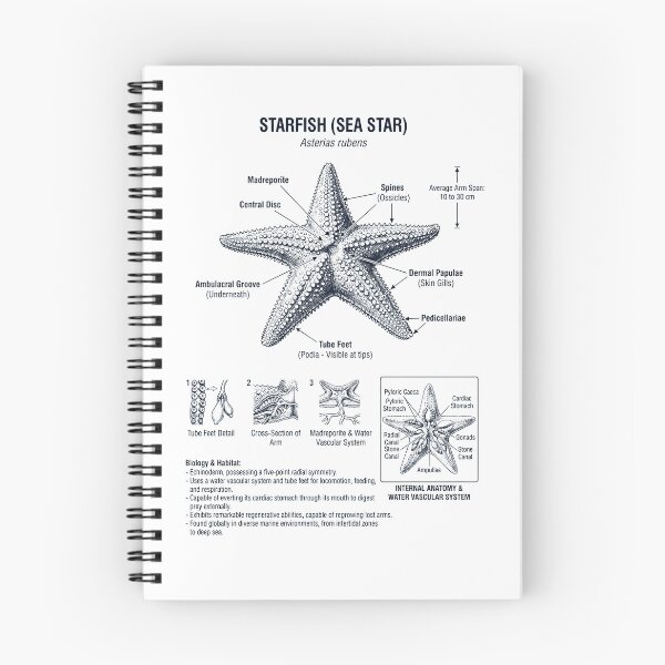 Item preview, Starfish Scientific Anatomy Biology Animal Lover designed and sold by dian-rody-crest.