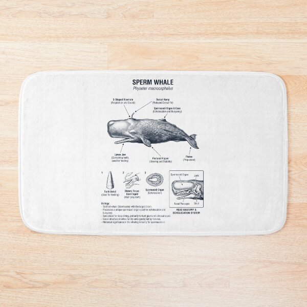 Item preview, Sperm Whale Scientific Anatomy Marine Biology Animal Lover designed and sold by dian-rody-crest.