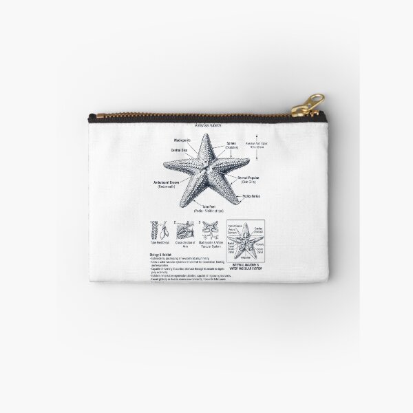 Item preview, Starfish Scientific Anatomy Biology Animal Lover designed and sold by dian-rody-crest.