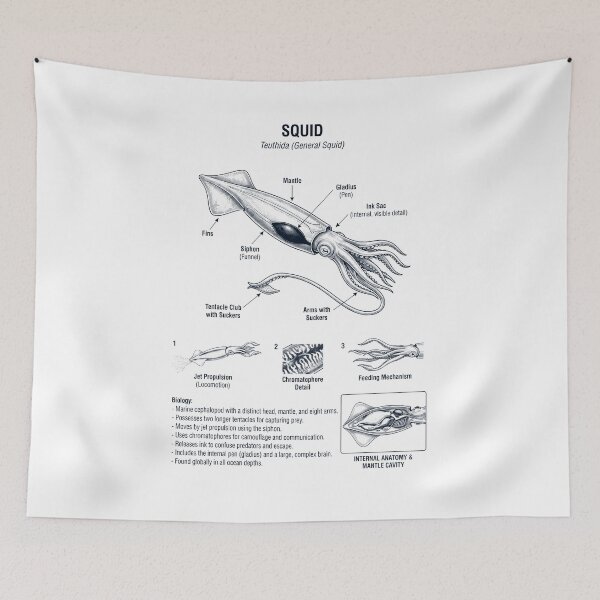Item preview, Squid Scientific Anatomy Biology Animal Lover designed and sold by dian-rody-crest.