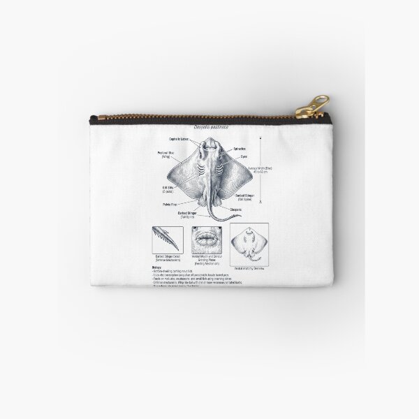 Item preview, Stingray Scientific Anatomy Biology Animal Lover designed and sold by dian-rody-crest.
