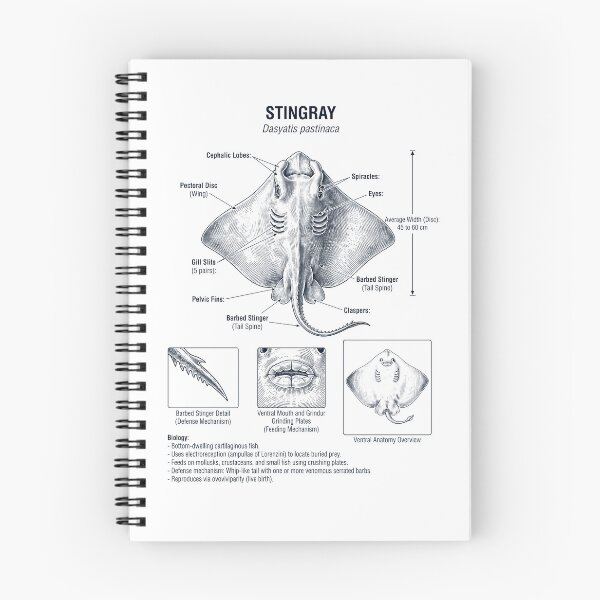 Item preview, Stingray Scientific Anatomy Biology Animal Lover designed and sold by dian-rody-crest.