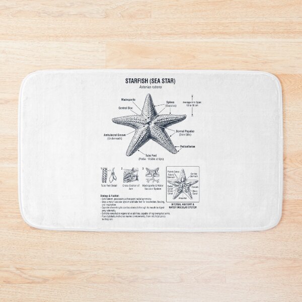 Item preview, Starfish Scientific Anatomy Biology Animal Lover designed and sold by dian-rody-crest.