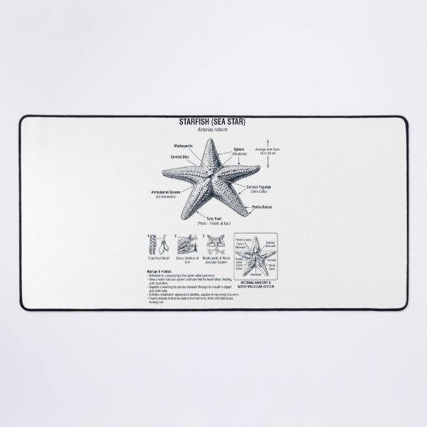 Item preview, Starfish Scientific Anatomy Biology Animal Lover designed and sold by dian-rody-crest.