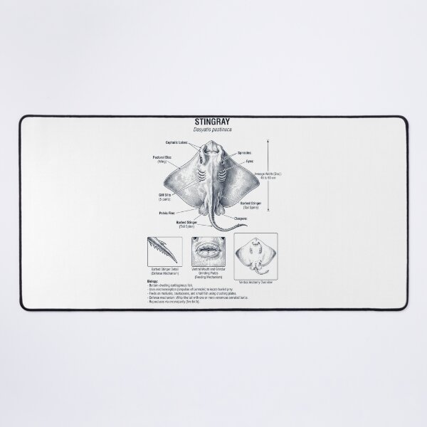 Item preview, Stingray Scientific Anatomy Biology Animal Lover designed and sold by dian-rody-crest.