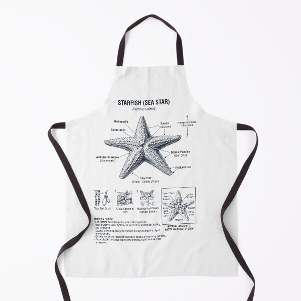 Item preview, Starfish Scientific Anatomy Biology Animal Lover designed and sold by dian-rody-crest.