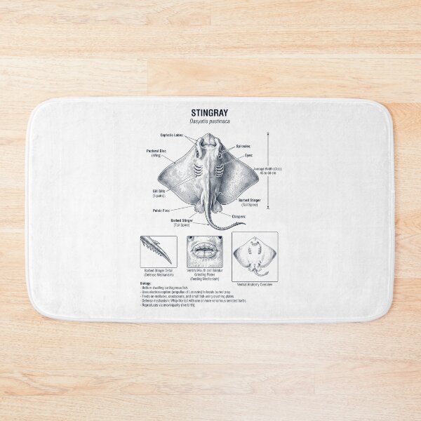 Item preview, Stingray Scientific Anatomy Biology Animal Lover designed and sold by dian-rody-crest.