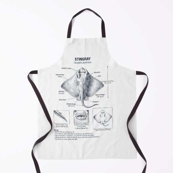 Item preview, Stingray Scientific Anatomy Biology Animal Lover designed and sold by dian-rody-crest.