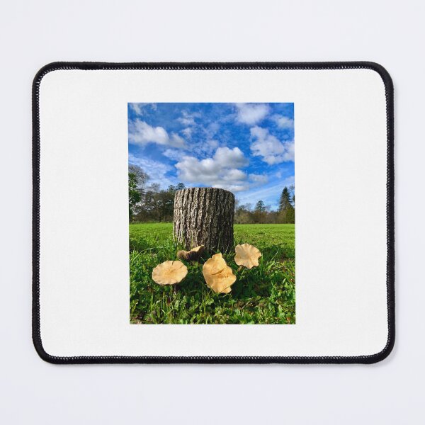 Item preview, Mushrooms on a Stump designed and sold by Tammy's Handmade Gifts.