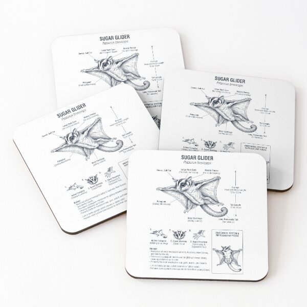 Item preview, Sugar Glider Scientific Anatomy Biology Animal Lover designed and sold by dian-rody-crest.