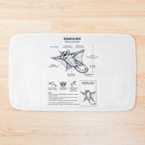 Item preview, Sugar Glider Scientific Anatomy Biology Animal Lover designed and sold by dian-rody-crest.