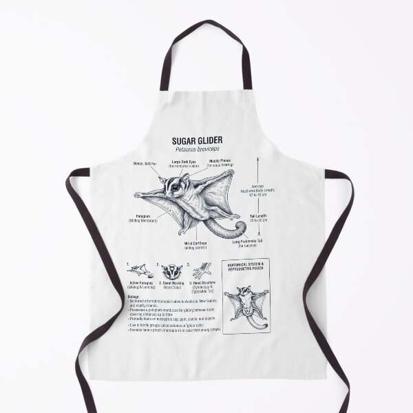 Item preview, Sugar Glider Scientific Anatomy Biology Animal Lover designed and sold by dian-rody-crest.