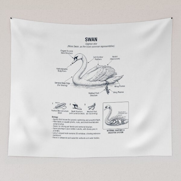 Item preview, Swan Scientific Anatomy Biology Animal Lover designed and sold by dian-rody-crest.