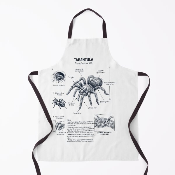 Item preview, Tarantula Scientific Anatomy Biology Animal Lover designed and sold by dian-rody-crest.
