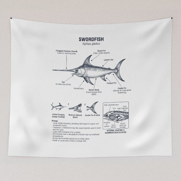 Item preview, Swordfish Scientific Anatomy Biology Animal Lover designed and sold by dian-rody-crest.