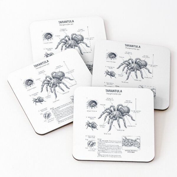 Item preview, Tarantula Scientific Anatomy Biology Animal Lover designed and sold by dian-rody-crest.