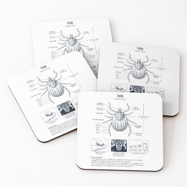 Item preview, Tick Scientific Anatomy Biology Animal Lover designed and sold by dian-rody-crest.