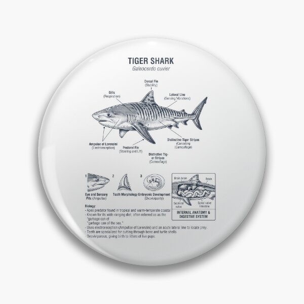 Item preview, Tiger Shark Scientific Anatomy Marine Biology Animal Lover designed and sold by dian-rody-crest.