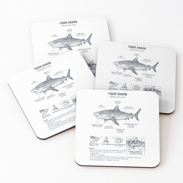 Item preview, Tiger Shark Scientific Anatomy Marine Biology Animal Lover designed and sold by dian-rody-crest.