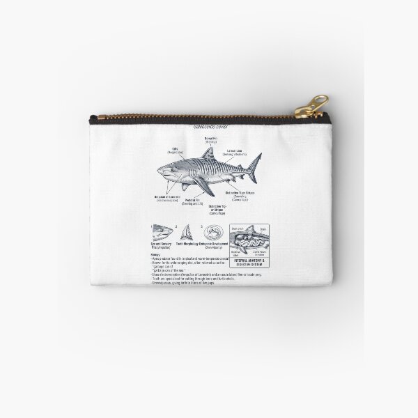 Item preview, Tiger Shark Scientific Anatomy Marine Biology Animal Lover designed and sold by dian-rody-crest.