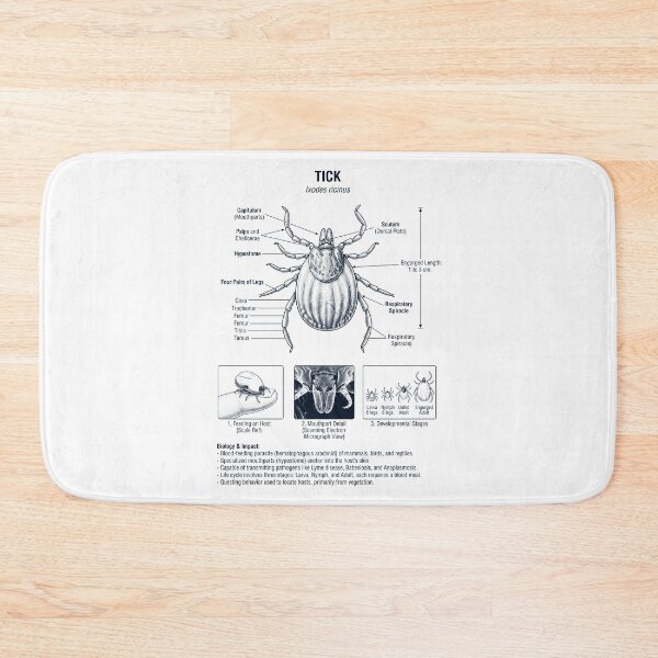 Item preview, Tick Scientific Anatomy Biology Animal Lover designed and sold by dian-rody-crest.