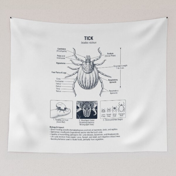 Item preview, Tick Scientific Anatomy Biology Animal Lover designed and sold by dian-rody-crest.