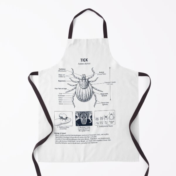 Item preview, Tick Scientific Anatomy Biology Animal Lover designed and sold by dian-rody-crest.