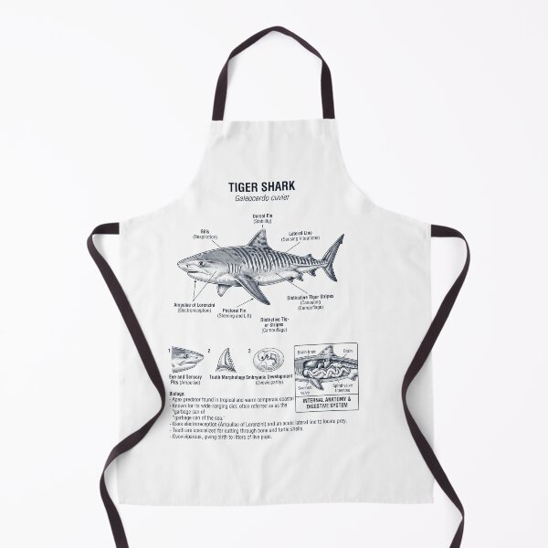 Item preview, Tiger Shark Scientific Anatomy Marine Biology Animal Lover designed and sold by dian-rody-crest.