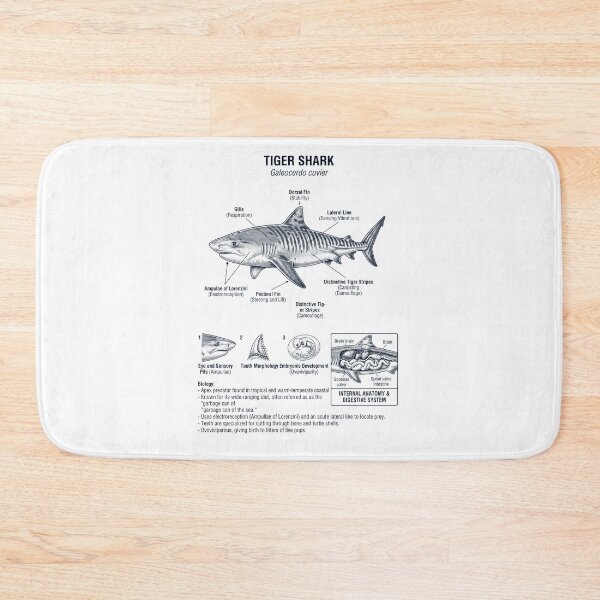 Item preview, Tiger Shark Scientific Anatomy Marine Biology Animal Lover designed and sold by dian-rody-crest.