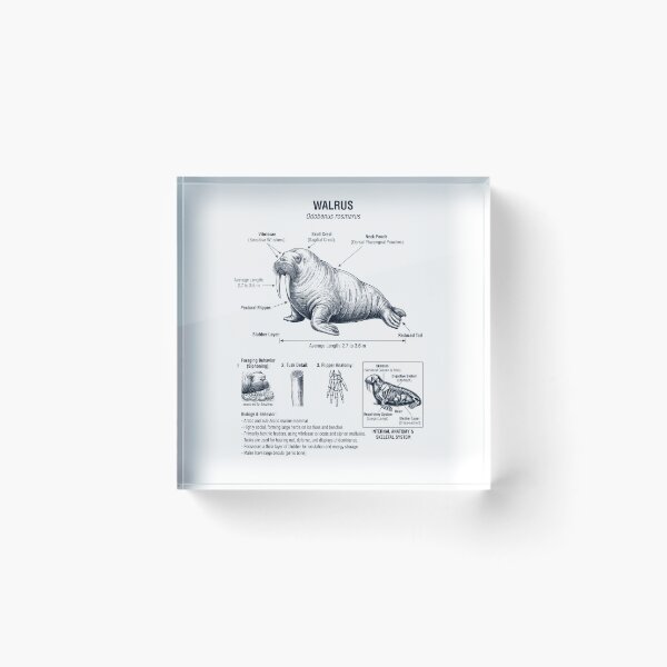 Item preview, Walrus Scientific Anatomy Biology Animal Lover designed and sold by dian-rody-crest.