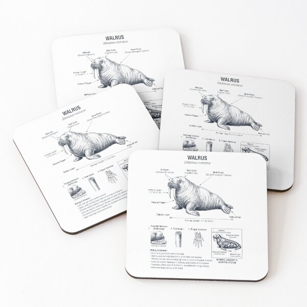 Item preview, Walrus Scientific Anatomy Biology Animal Lover designed and sold by dian-rody-crest.