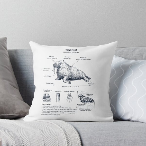 Item preview, Walrus Scientific Anatomy Biology Animal Lover designed and sold by dian-rody-crest.