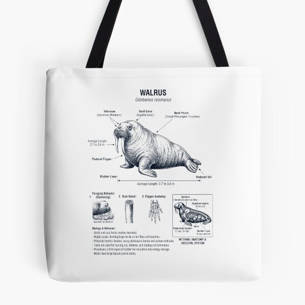 Item preview, Walrus Scientific Anatomy Biology Animal Lover designed and sold by dian-rody-crest.