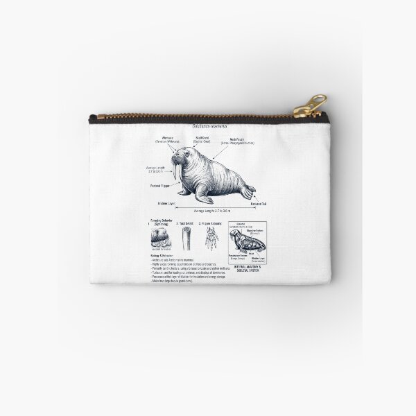 Item preview, Walrus Scientific Anatomy Biology Animal Lover designed and sold by dian-rody-crest.
