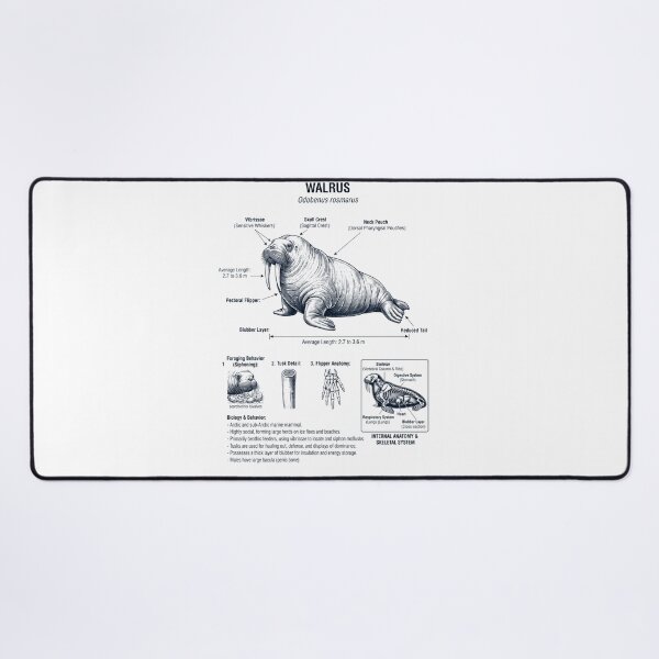 Item preview, Walrus Scientific Anatomy Biology Animal Lover designed and sold by dian-rody-crest.
