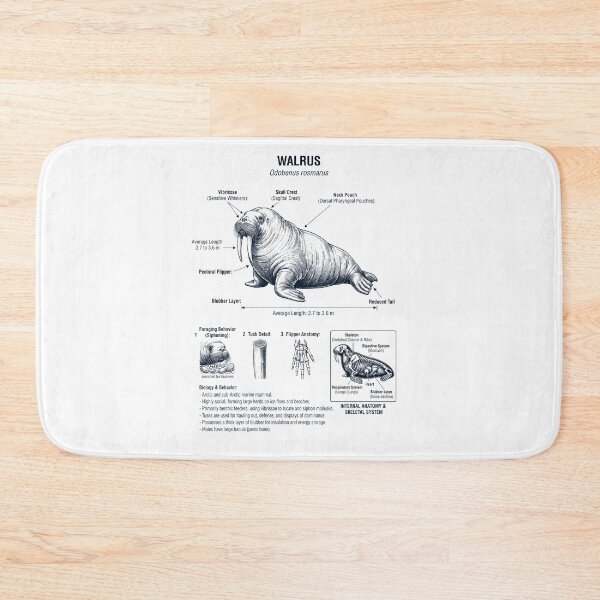 Item preview, Walrus Scientific Anatomy Biology Animal Lover designed and sold by dian-rody-crest.