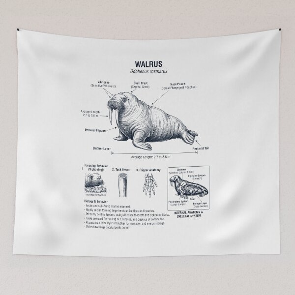 Item preview, Walrus Scientific Anatomy Biology Animal Lover designed and sold by dian-rody-crest.