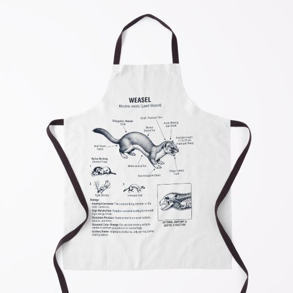 Item preview, Weasel Scientific Anatomy Biology Animal Lover designed and sold by dian-rody-crest.