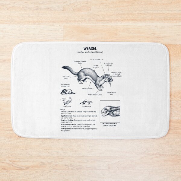 Item preview, Weasel Scientific Anatomy Biology Animal Lover designed and sold by dian-rody-crest.