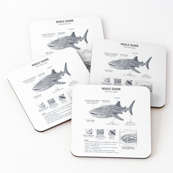 Item preview, Whale Shark Scientific Anatomy Marine Biology Animal Lover designed and sold by dian-rody-crest.
