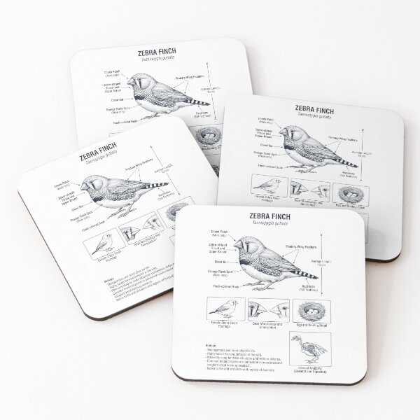 Item preview, Zebra Finch Scientific Anatomy Ornithology Bird Birding Lover designed and sold by dian-rody-crest.