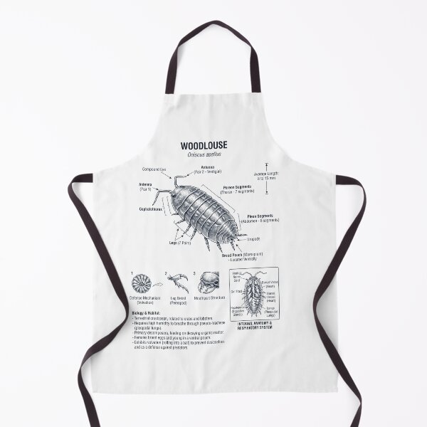 Item preview, Woodlouse Scientific Anatomy Biology Animal Lover designed and sold by dian-rody-crest.