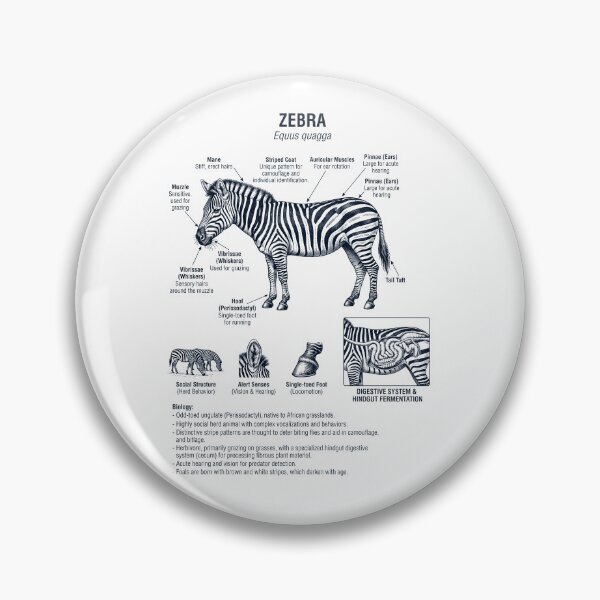 Item preview, Zebra Scientific Anatomy Biology Animal Lover designed and sold by dian-rody-crest.