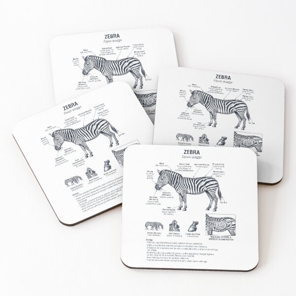 Item preview, Zebra Scientific Anatomy Biology Animal Lover designed and sold by dian-rody-crest.