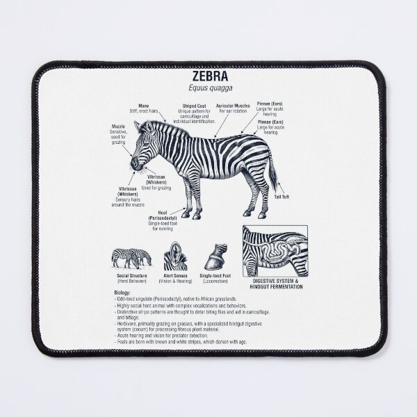 Item preview, Zebra Scientific Anatomy Biology Animal Lover designed and sold by dian-rody-crest.