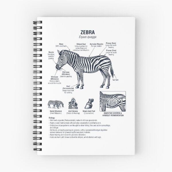 Item preview, Zebra Scientific Anatomy Biology Animal Lover designed and sold by dian-rody-crest.