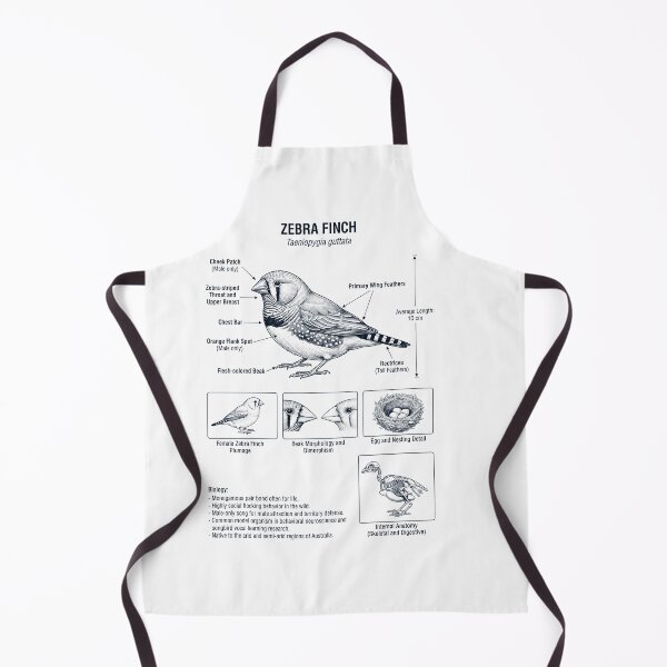 Item preview, Zebra Finch Scientific Anatomy Ornithology Bird Birding Lover designed and sold by dian-rody-crest.