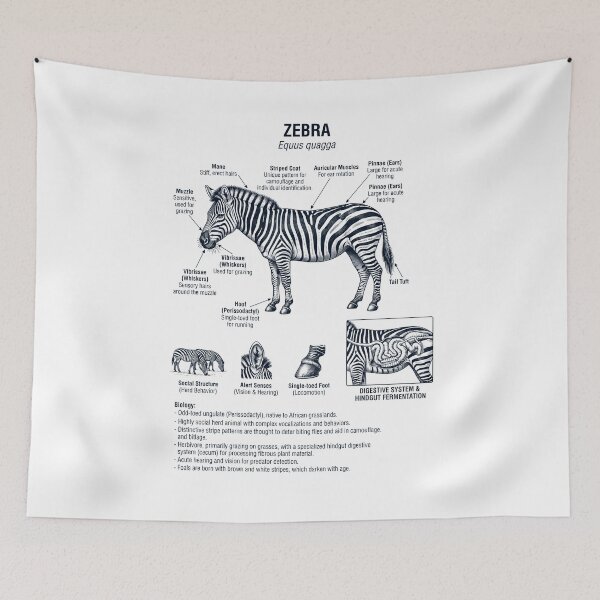 Item preview, Zebra Scientific Anatomy Biology Animal Lover designed and sold by dian-rody-crest.