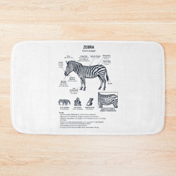 Item preview, Zebra Scientific Anatomy Biology Animal Lover designed and sold by dian-rody-crest.